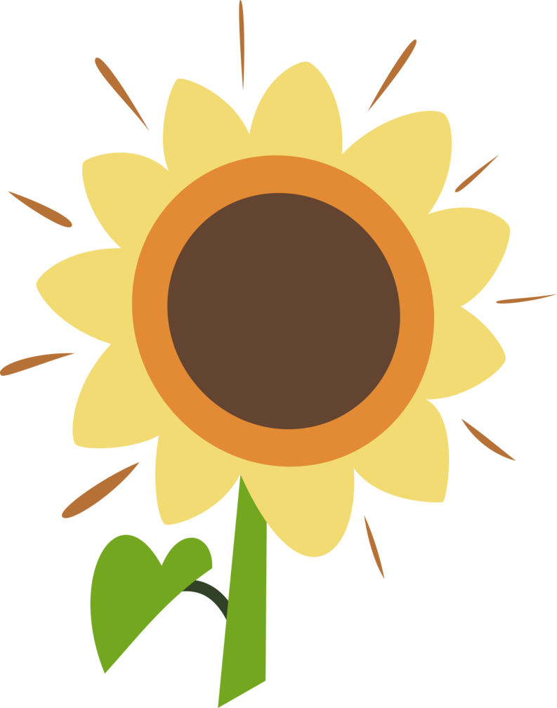 Sunny Sunflower Graphic PNG Image