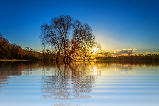 Sunset Reflections Lake Tree PNG Image