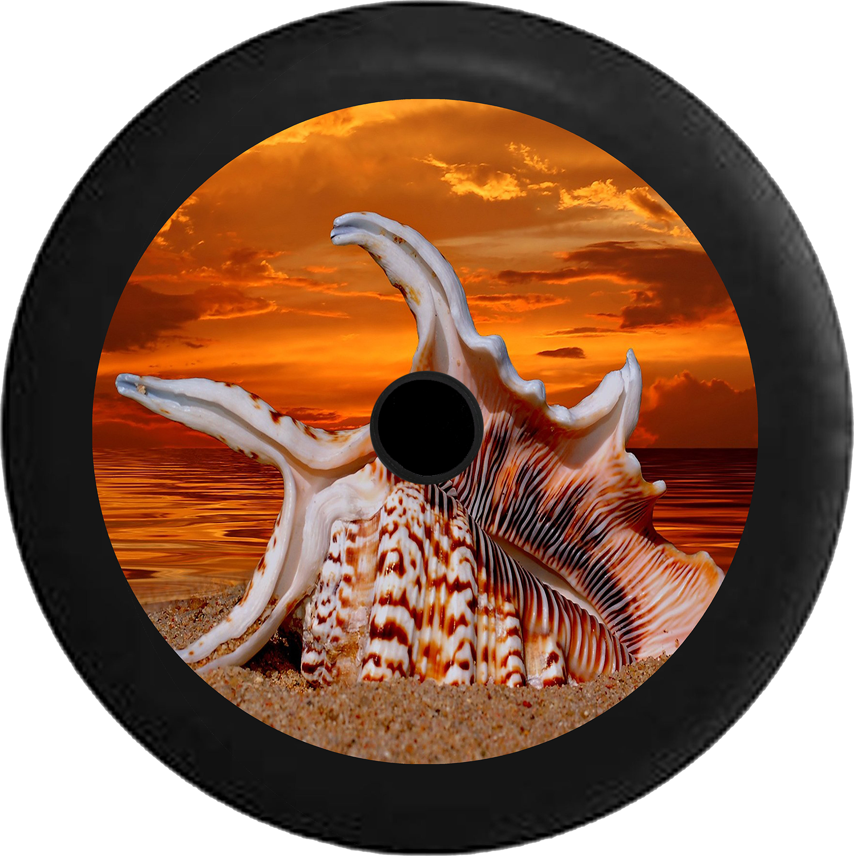 Sunset_ Shell_ Viewpoint PNG Image