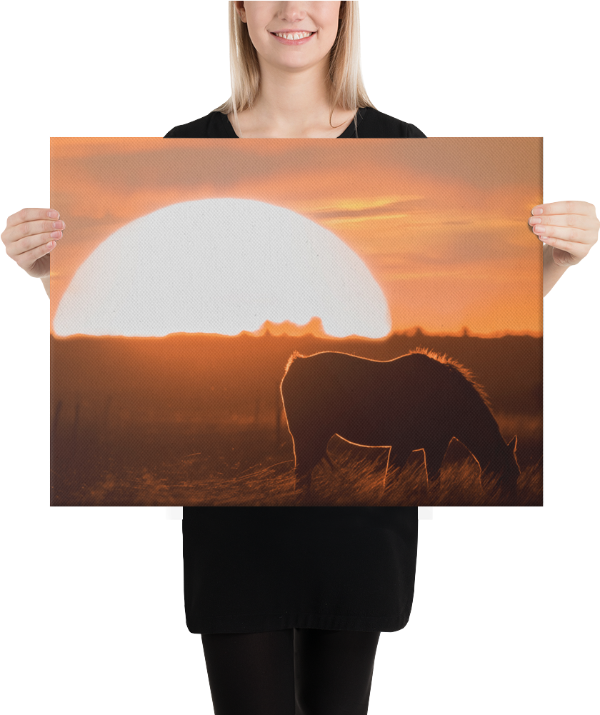 Sunset Silhouette Artwork PNG Image