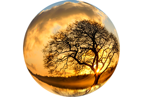 Sunset Tree Silhouette Crystal Ball PNG Image