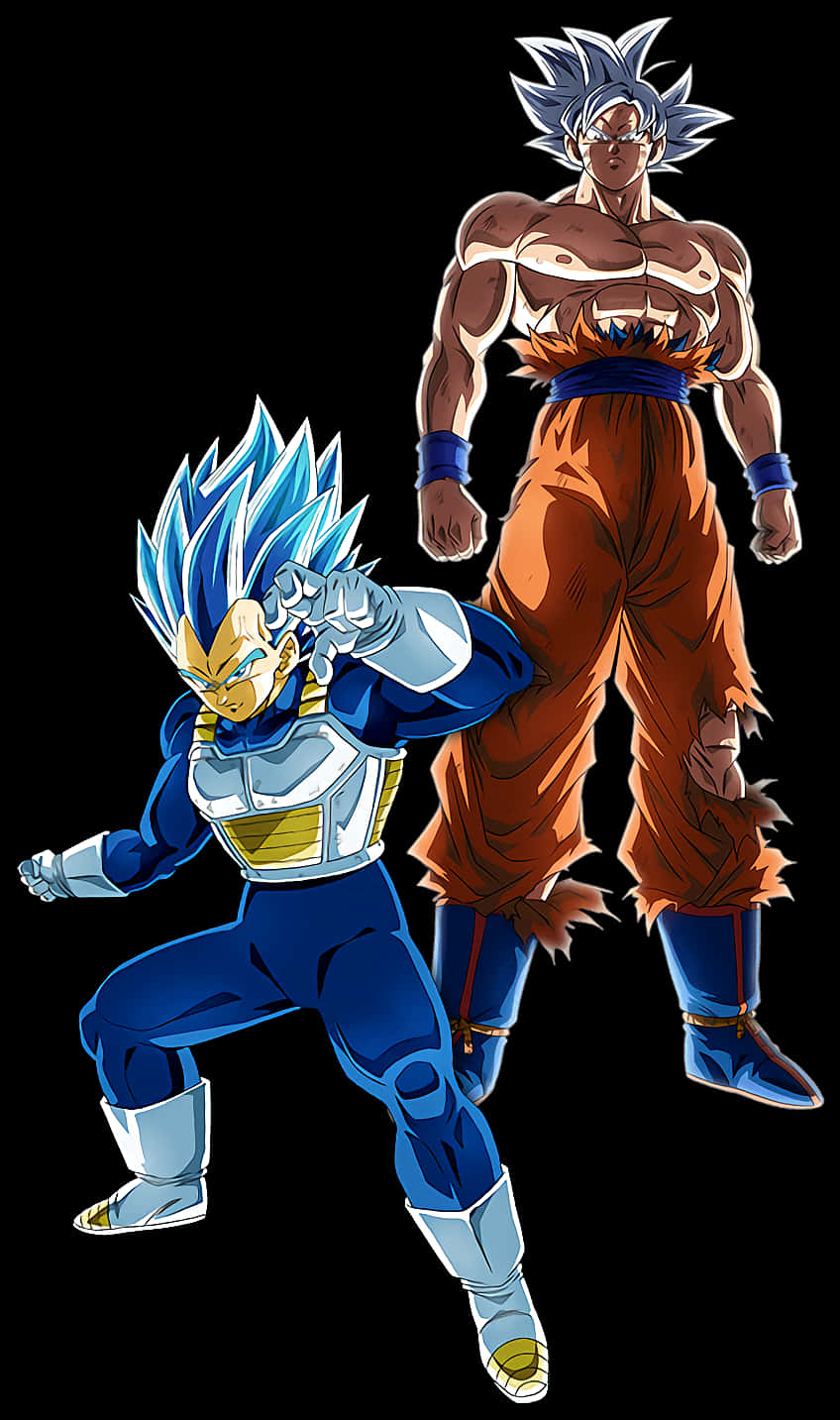 Super Saiyan Blue Vegetaand Ultra Instinct Goku PNG Image