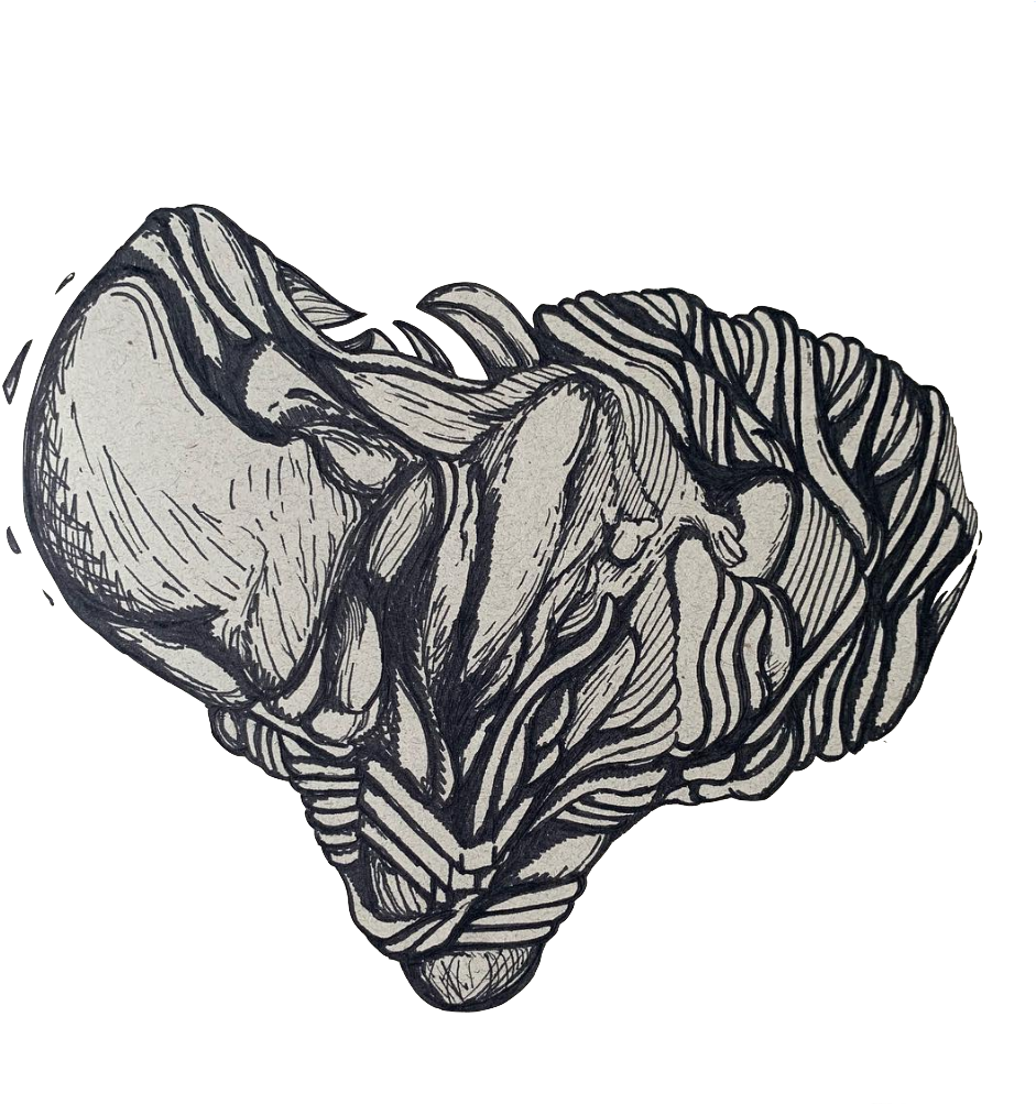 Surreal_ Zebra_ Heart_ Illusion PNG Image