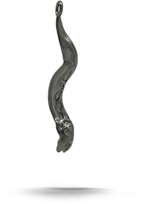 Suspended Eel Reflection PNG Image