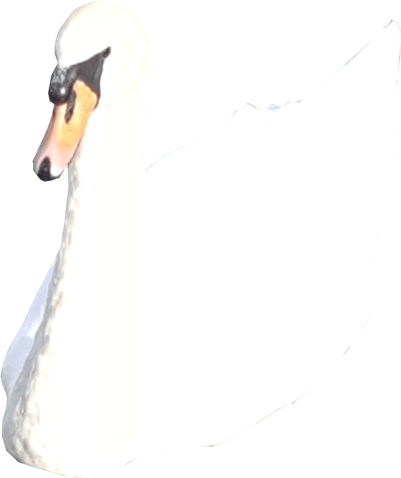 Swan With Dog Face.png PNG Image