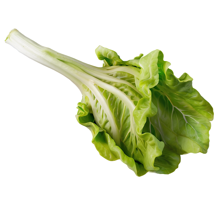 Sweet Lettuce Png Ltw PNG Image