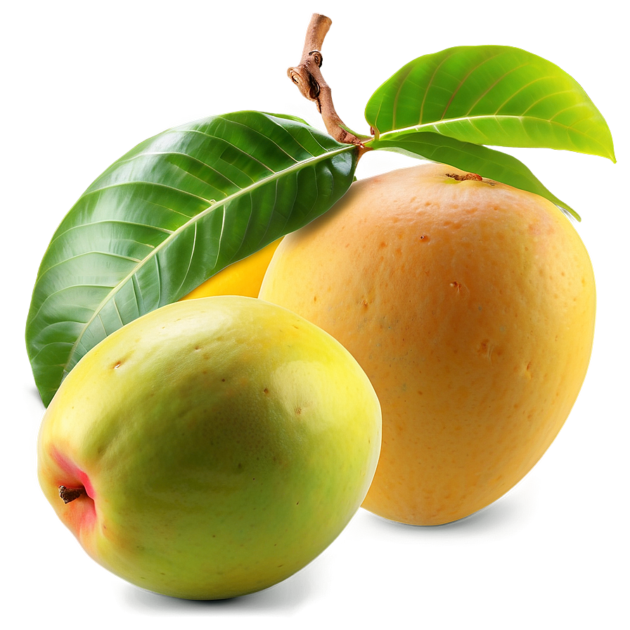 Sweet Mango Png Odx26 PNG Image