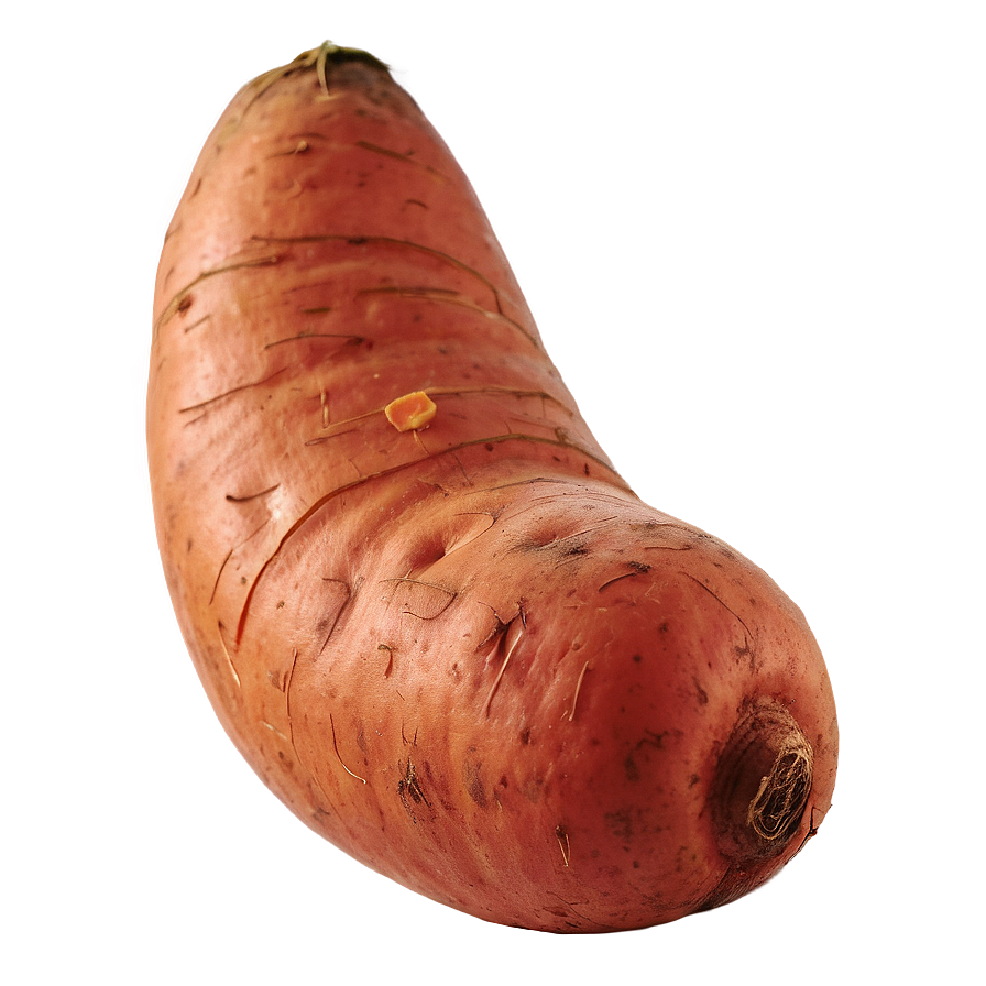 Sweet Potato D PNG Image