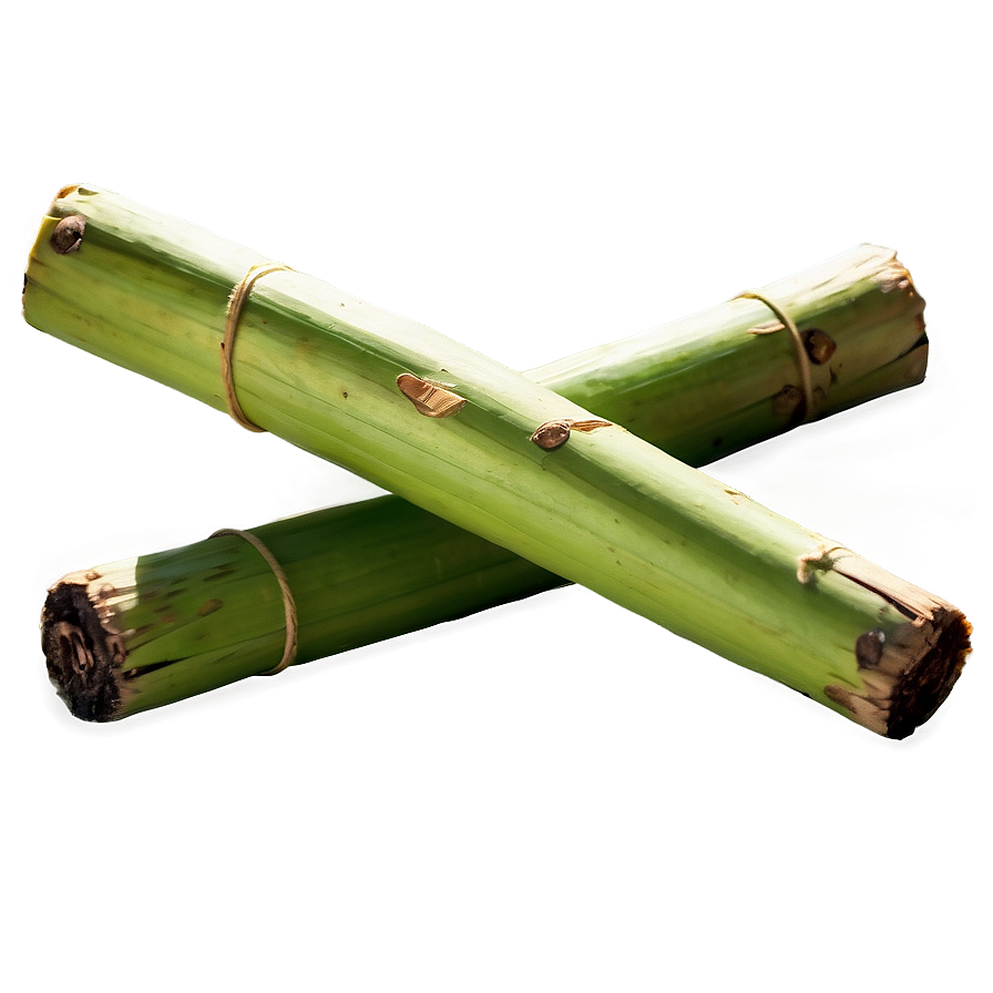 Sweet Sugarcane Stick Png 06262024 PNG Image