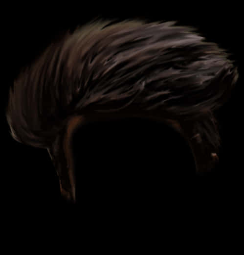 Swept Back Dark Hairstyle PNG Image