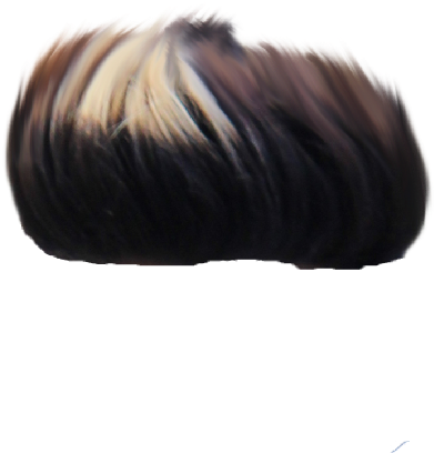 Swept Back Hair Texture PNG Image