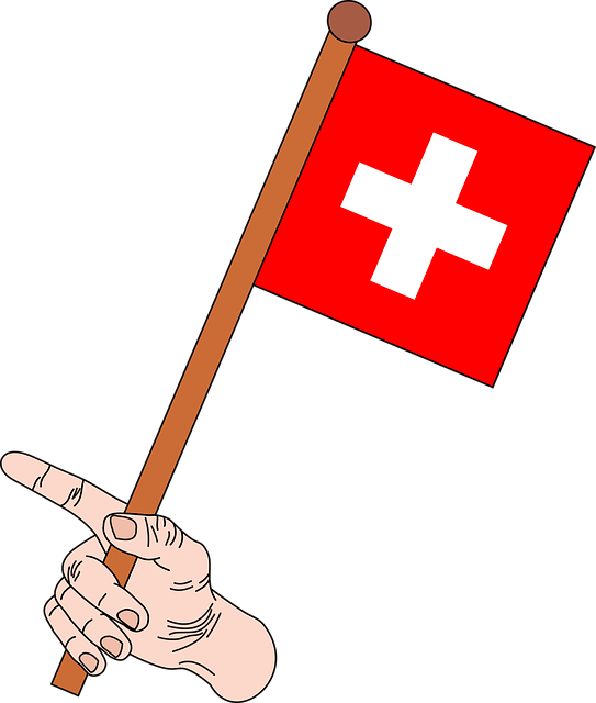 Swiss Flagin Hand Illustration PNG Image