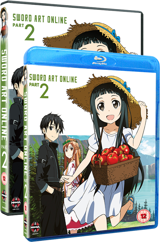 Sword Art Online Part2 Bluray Cover PNG Image