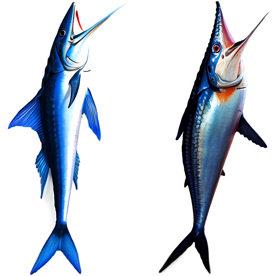 Marlin PNG Images - PNGImages.com