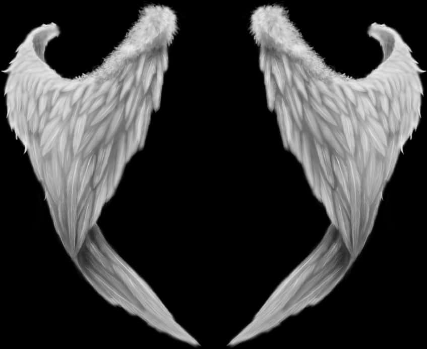 Symmetrical Angel Wingson Black Background PNG Image