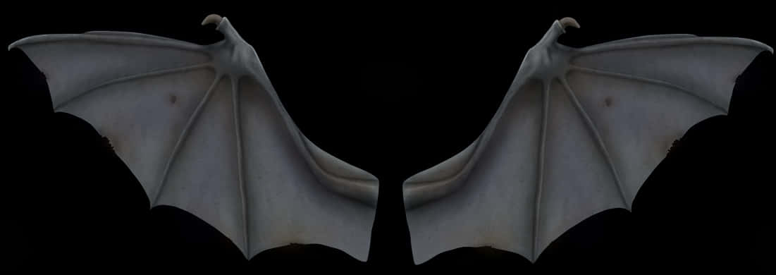 Symmetrical Bat Wings Spread PNG Image