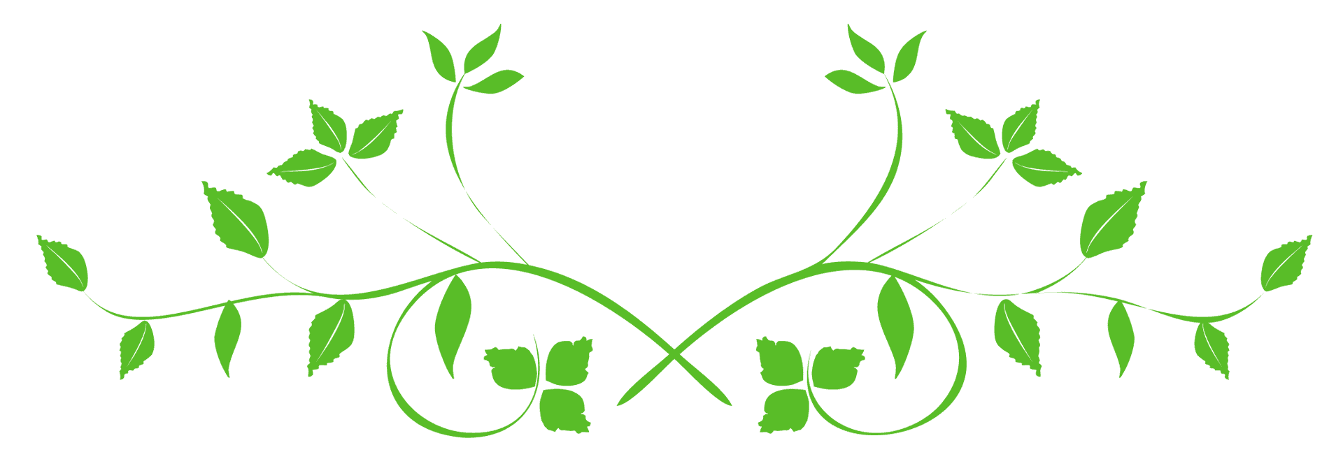 Symmetrical Green Leaves Design PNG Image