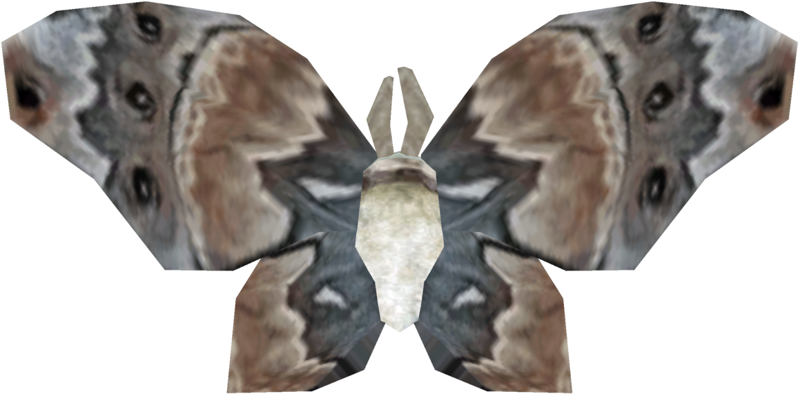 Symmetrical Moth Wings Pattern PNG Image