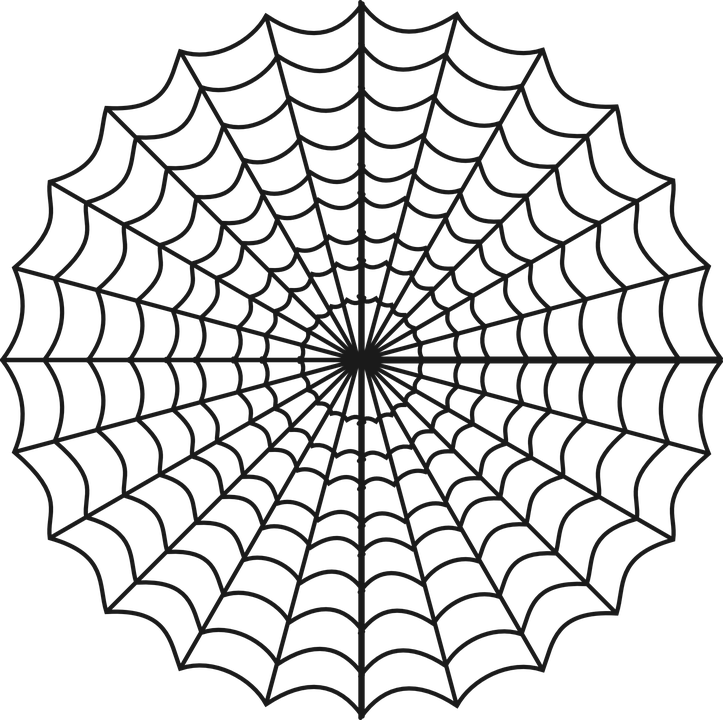 Symmetrical Spider Web Illustration PNG Image