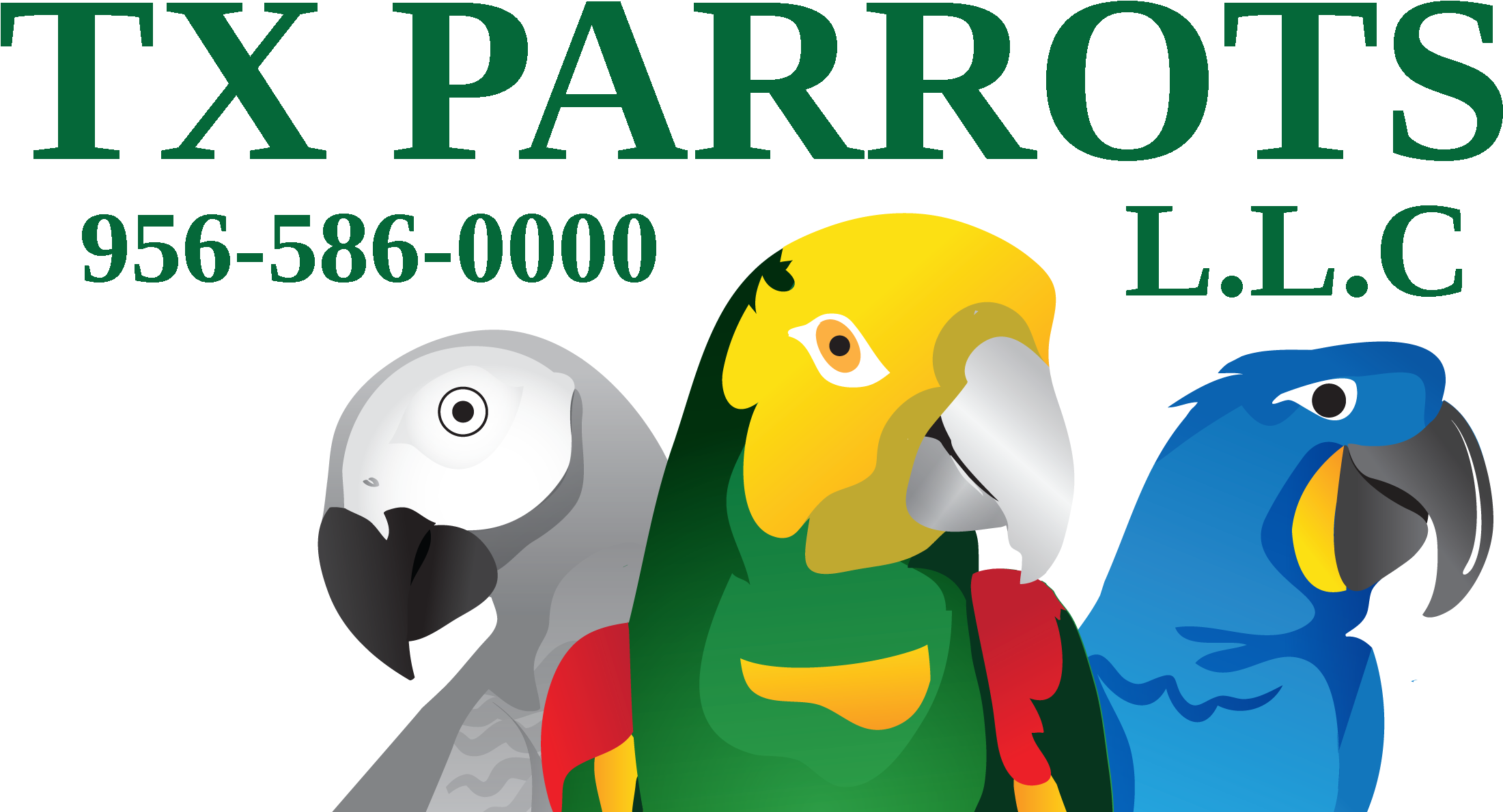 T X Parrots Logo Graphic PNG Image