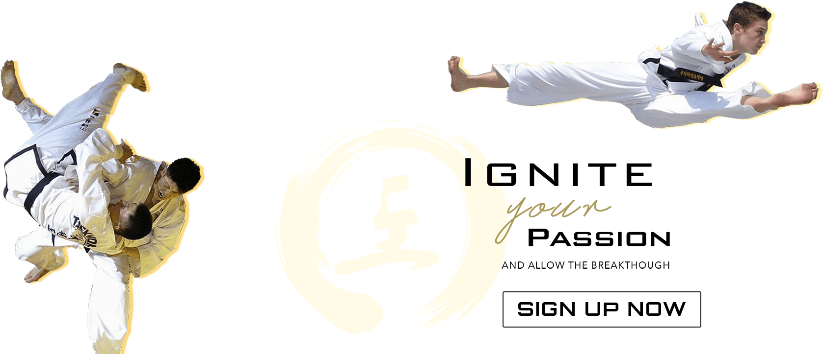 Taekwondo Passionand Skills PNG Image