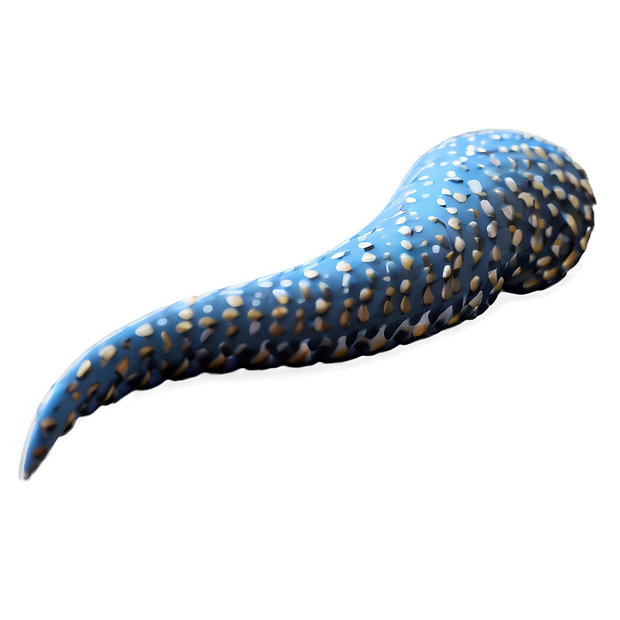 Tail B PNG Image