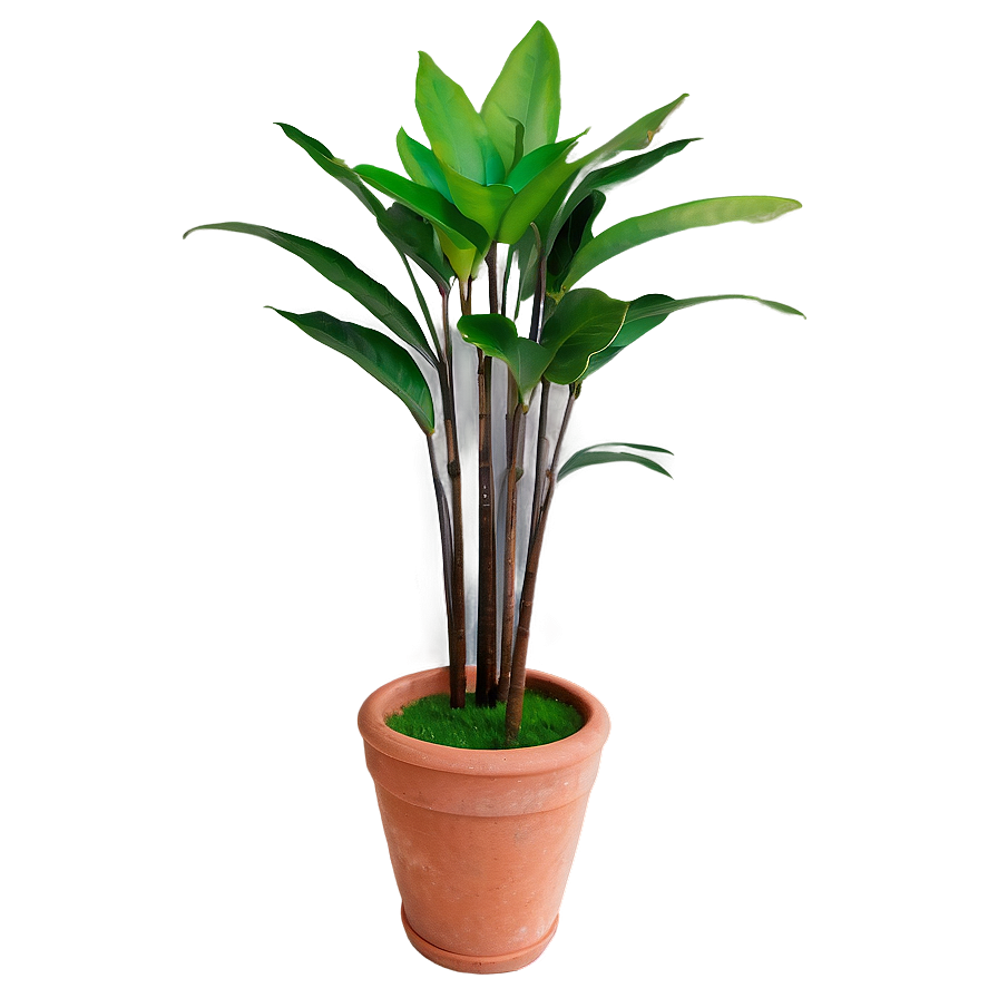 Tall Floor Plant Png Xyu35 PNG Image