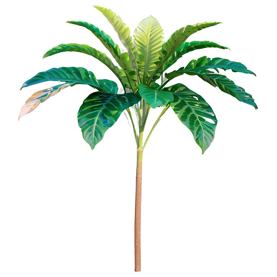 Tall Plant In Natural Light Png Rrs PNG Image