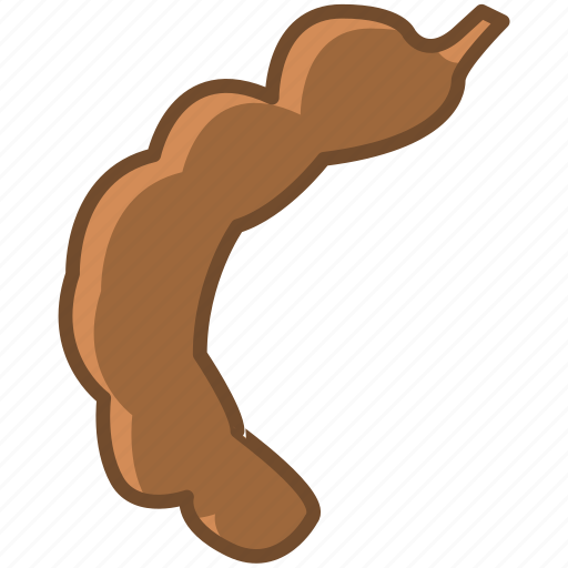 Tamarind Pod Vector Illustration PNG Image