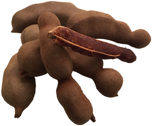 Tamarind Pods Cluster PNG Image