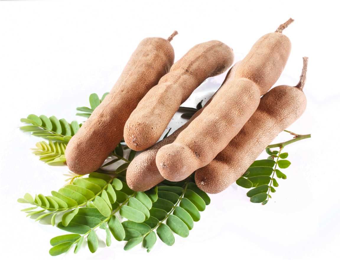 Tamarind Podsand Leaves PNG Image