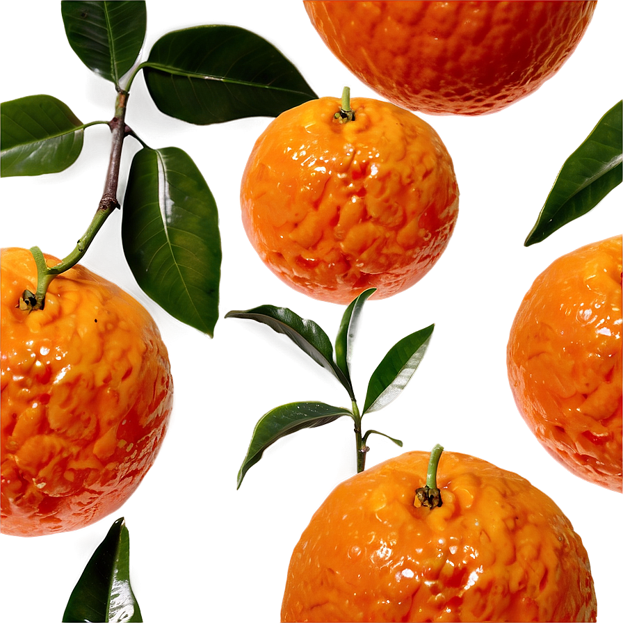 Tangerine D PNG Image