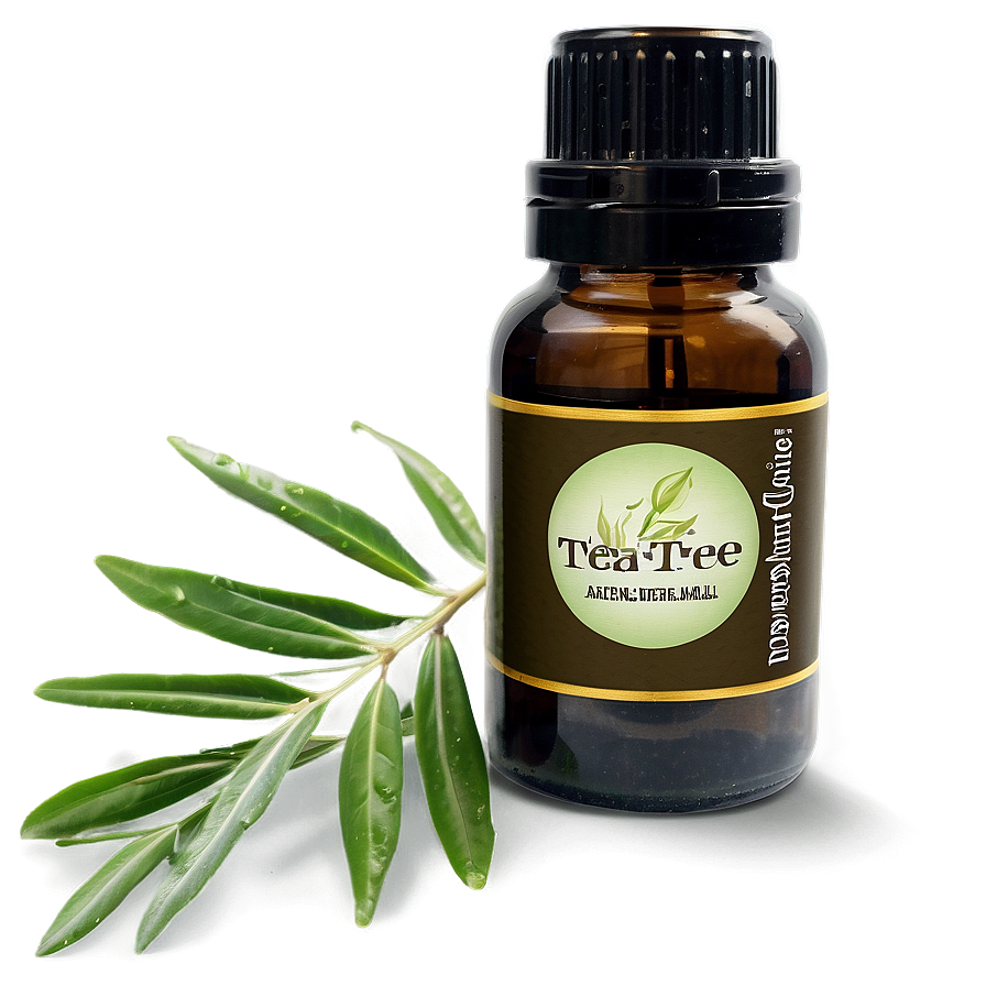 Tea Tree Essential Oil Png Fkq35 PNG Image