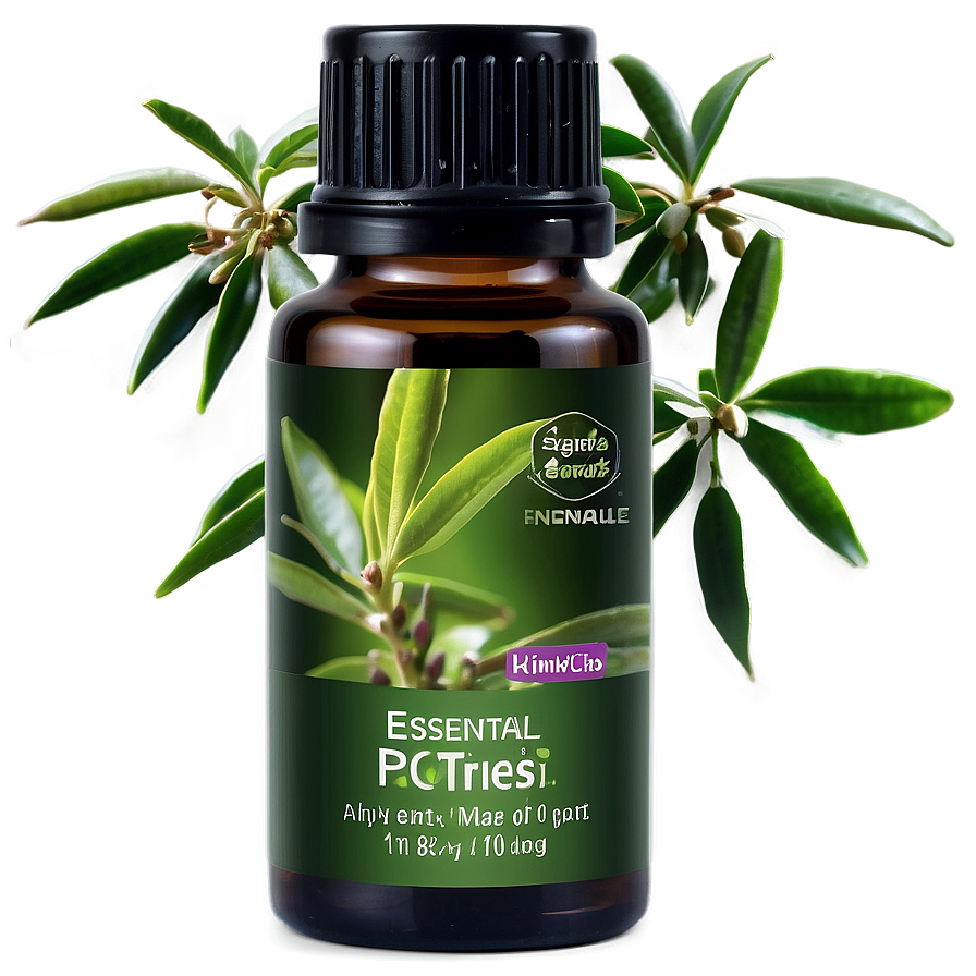 Tea Tree Essential Oil Png Gaq PNG Image