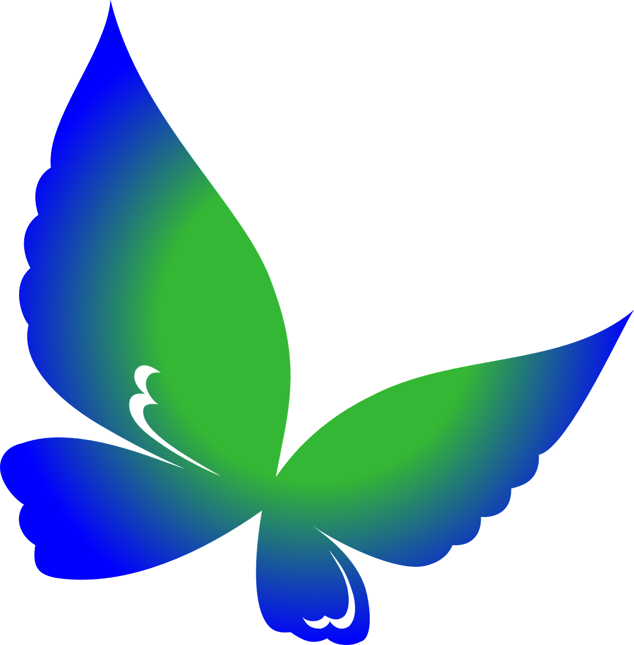 Teal Gradient Butterfly Graphic PNG Image