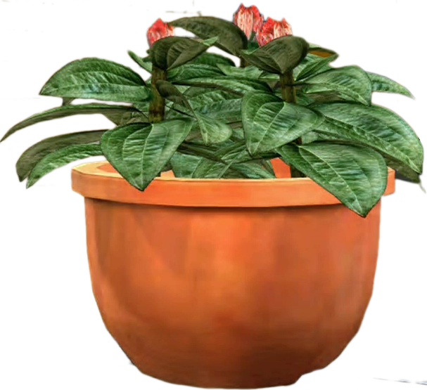 Terracotta Plant Potwith Flowering Plant PNG Image