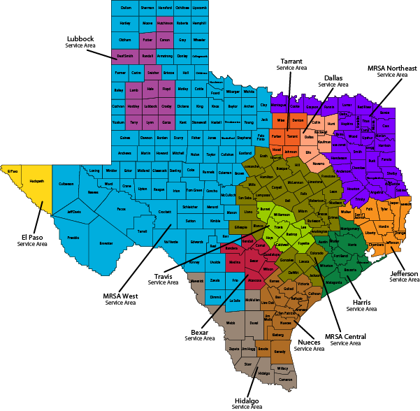 Texas Counties Map Color Coded PNG Image