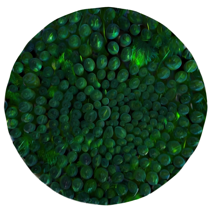 Textured Green Circle Png Wwf PNG Image