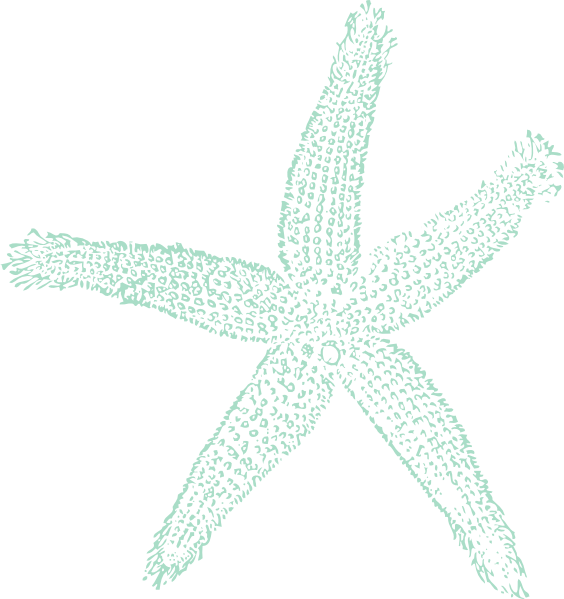 Textured Starfish Clipart Illustration PNG Image