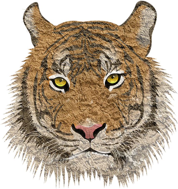 Textured Tiger Face Illustration PNG Image