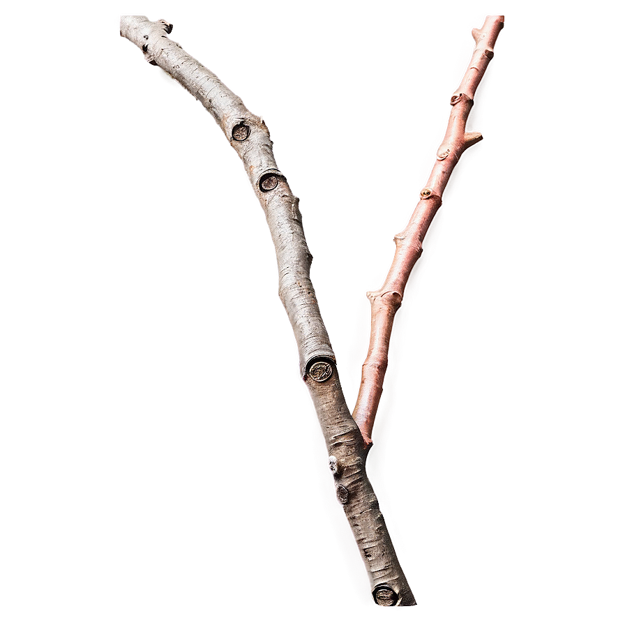 Textured Twig Png 06132024 PNG Image