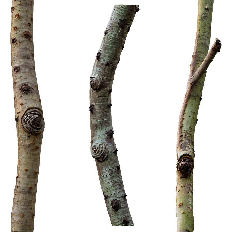 Textured Twig Png Qbh61 PNG Image