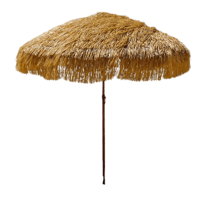 Thatched Beach Umbrella PNG Image