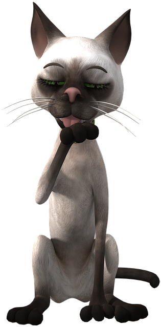 Thoughtful Siamese Cat Cartoon PNG Image