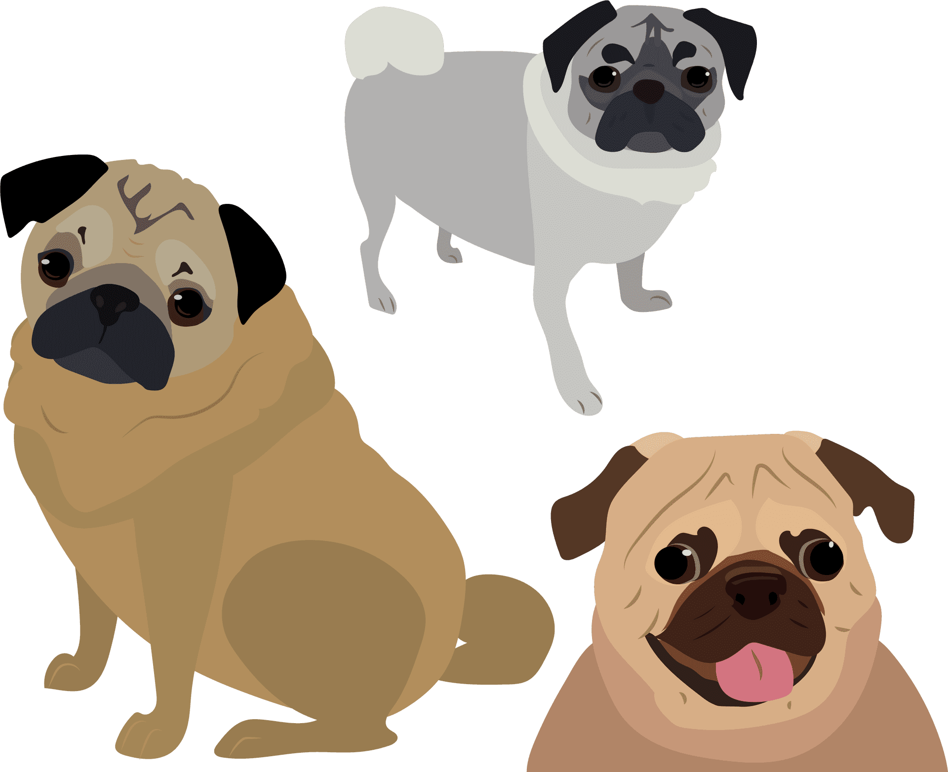 Three Cartoon Pugs Illustration PNG Image