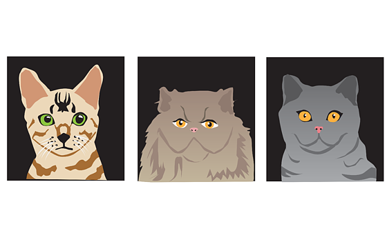 Three Cats Ago Funny Quote PNG Image