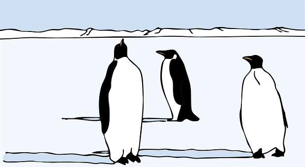 Three Penguins Iceberg Illustration PNG Image