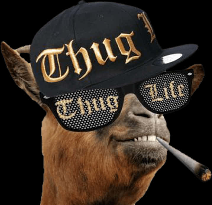 Thug Life Llamawith Glassesand Hat PNG Image