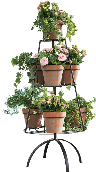 Tiered Plant Standwith Flowering Pots PNG Image