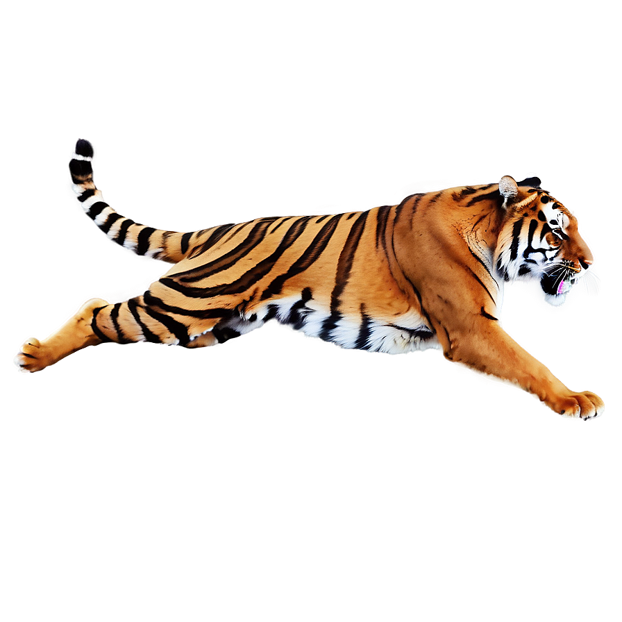 Tiger In Attack Mode Png Pke PNG Image